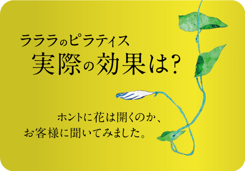 お客様の生の声